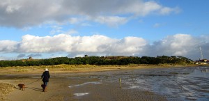 Terschelling - het Groene Strand, december 2014