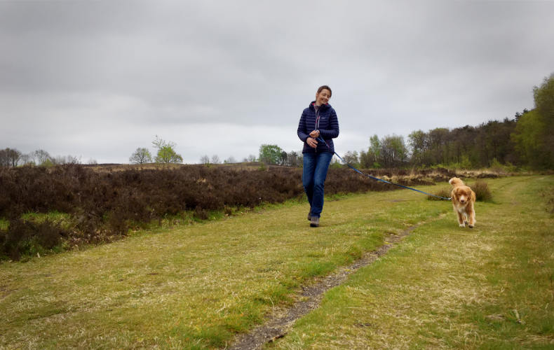 Wandelen in Drenthe.